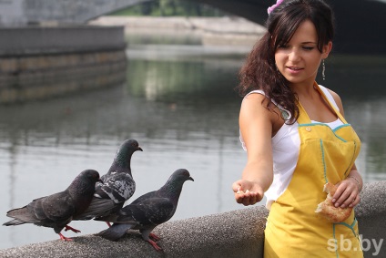 Orașele sunt forțate să lupte cu porumbeii, salvându-și privirile