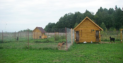 Pet-friendly hoteluri - Zoo - și - Zooecotel