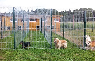 Pet-friendly hoteluri - Zoo - și - Zooecotel