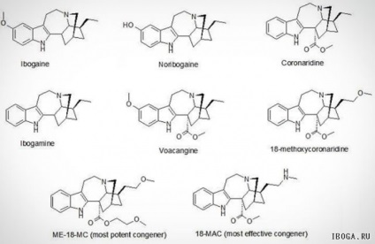 Tratamentul și dozele de tratament cu Ibogaină - un site de informare despre Dumnezeu și despre ibogaine!
