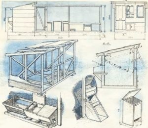 Cultivarea Indotka la domiciliu pentru începători cu o fotografie, o fermă cu propriile mâini