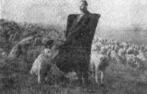 Az 1930-as évekbeli All-Union Kiállítás eredményei - az ázsiai szolgálati kutyák hazai fajtái