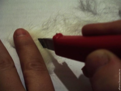 Faceți o pensulă de părul unei pisici