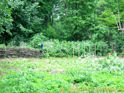 Făcând un gard din răchită, o clasă de măiestrie cu propriile mâini