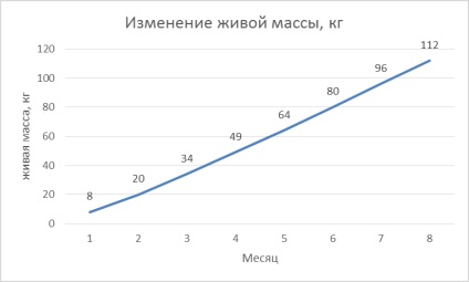 Modificări ale greutății vii la puii de culoare neagră cu un nivel crescut de hrană