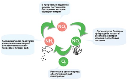 Ce proprietati trebuie sa aiba solul vegetal fertil?