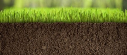 Milyen tulajdonságokkal kell rendelkeznie a termékeny növényi talajon?