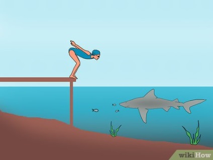 Cum sa eviti rechinii in timpul navigarii