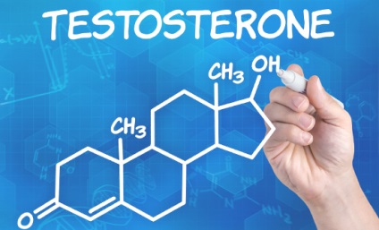 Cum să mâncați pentru a ridica testosteronul, totul despre nutriția sportivă