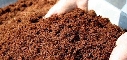 Cum sa faceti compostul din retete de iarba cu mana proprie
