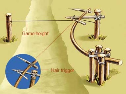 Как да направите капан у дома