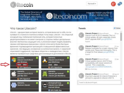 Hogyan hozzunk létre egy litecoin pénztárca litecoin alapprogramot és online szolgáltatásokat