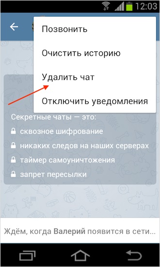 Як створити секретний чат в telegram і що це таке