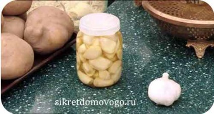 Cum se păstrează usturoiul, secrete de brânză