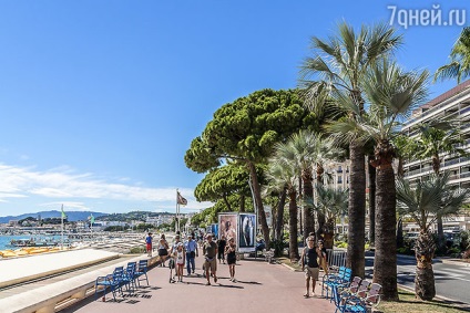 Festivalul de Film de la Cannes cum să ajungeți unde să trăiți și ce să urmăriți