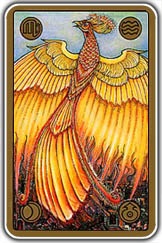 Card Symbolon phoenix