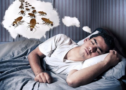 De ce gândesc gândacii și uciderea lor într-un apartament, interpretarea viselor