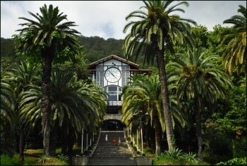 Colonnade in Gagra cím fotók - hogyan érhető el