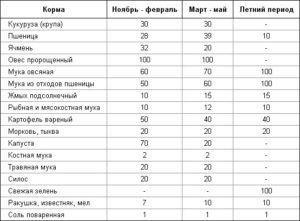 Furaje pentru rațe, hrană cu mâinile proprii