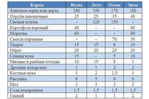 Furaje pentru rațe, hrană cu mâinile proprii