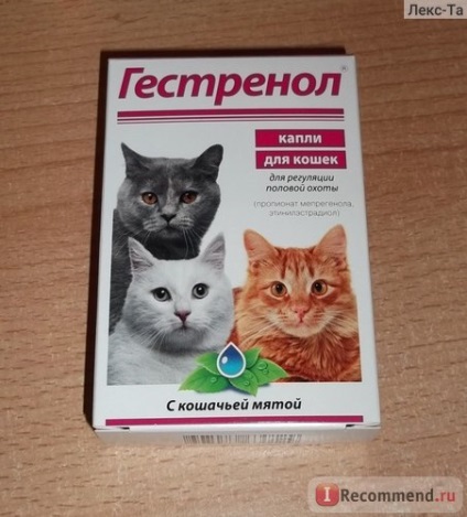 Contraceptivele de droguri gestrenol pentru reglarea vânatului sexual la pisici - 