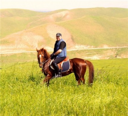Kustanai rasa de cai fotografie, descriere, istorie de trecere - site despre cai