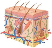 Tratamentul cu laser în dermatologie, clinica de medicină laser în Kiev