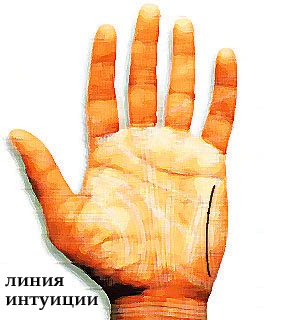Linia de intuiție însemnând în palma mâinii tale