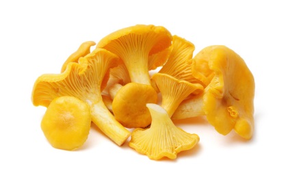 Chanterelles împotriva paraziți