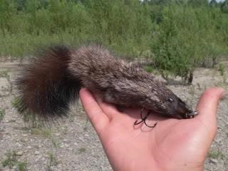 Capturarea taimenului în fotografii și sfaturi din Siberia