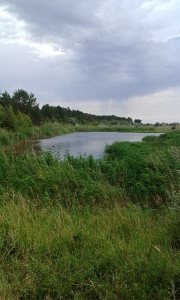 Zmeură Lacul, districtul Mihailovski Teritoriului Altai - Vacanta in Altai, Munții Altai, în Novosibirsk