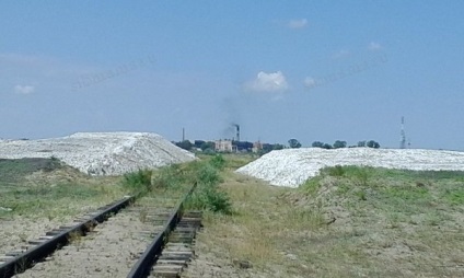 Zmeură Lacul, districtul Mihailovski Teritoriului Altai - Vacanta in Altai, Munții Altai, în Novosibirsk