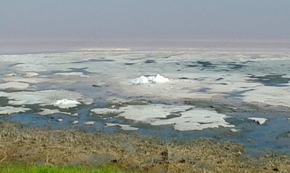 Zmeură Lacul, districtul Mihailovski Teritoriului Altai - Vacanta in Altai, Munții Altai, în Novosibirsk