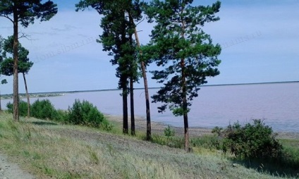 Zmeură Lacul, districtul Mihailovski Teritoriului Altai - Vacanta in Altai, Munții Altai, în Novosibirsk