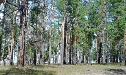 Zmeură Lacul, districtul Mihailovski Teritoriului Altai - Vacanta in Altai, Munții Altai, în Novosibirsk