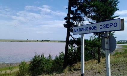 Zmeură Lacul, districtul Mihailovski Teritoriului Altai - Vacanta in Altai, Munții Altai, în Novosibirsk