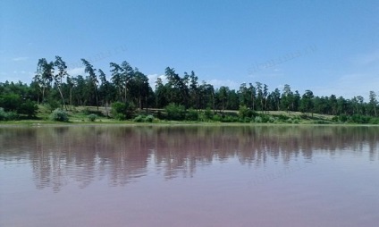 Zmeură Lacul, districtul Mihailovski Teritoriului Altai - Vacanta in Altai, Munții Altai, în Novosibirsk