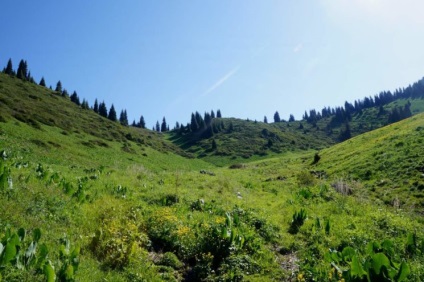 Traseele de zi liberă sunt almați de munte, hai să mergem! Almaty