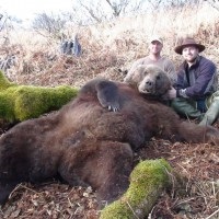 Ursul de urs pentru urs, vânătoare de urși și natură bearish