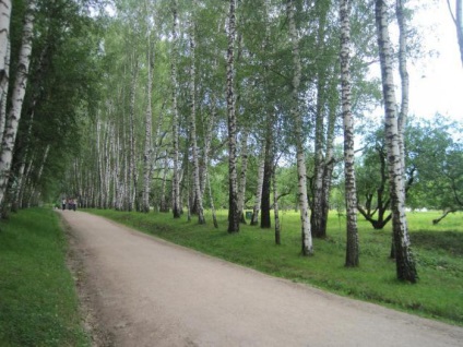 Muzeul-Estate gros într-o poiana limpede