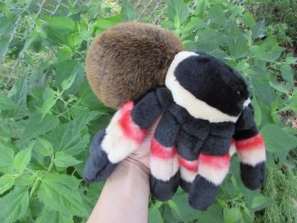 Jucărie de păianjen moale - republică sălbatică cuddlekins tarantula