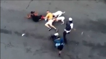 Atacul taurilor de pit la un bărbat din New York (video)