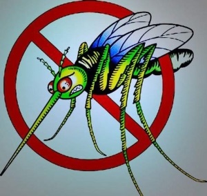 Remedii populare pentru țânțari și mlaștini