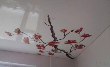 Stretch tavan ramură sakura în interiorul japonez