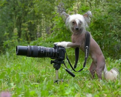 Nu mă împușca, fotograf, sau de ce oamenii se tem de lentilă