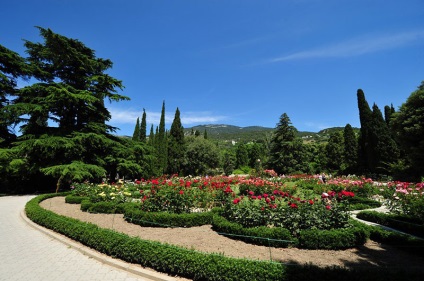 Grădina botanică Nikitsky, Crimeea odihna noastră în Crimeea, hotel și rezervare hotel