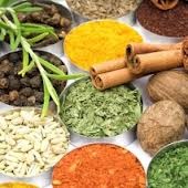 Definiția ayurvedei - informații de bază și teorie a Ayurvedei