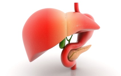 A krónikus cholecystitis definíciója, etiológiája, tünetei, diagnózisa és kezelése, őrzze meg