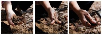 A talaj típusának, a talaj főbb típusainak, módszereinek, saját kezének meghatározása