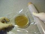 Bazele de lucru cu agar - stadopedia